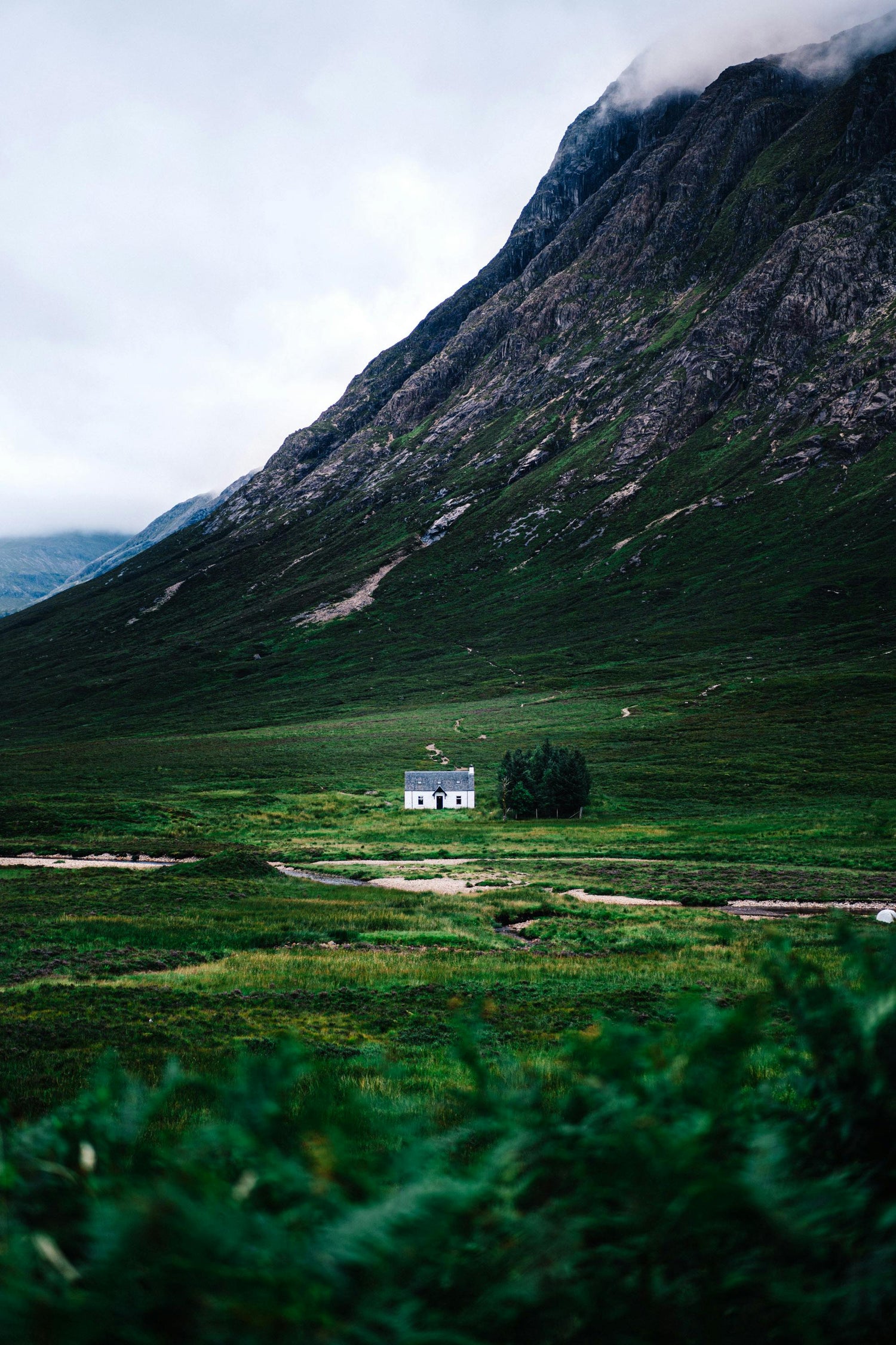 Discover the Best Nature Trails in Scotland