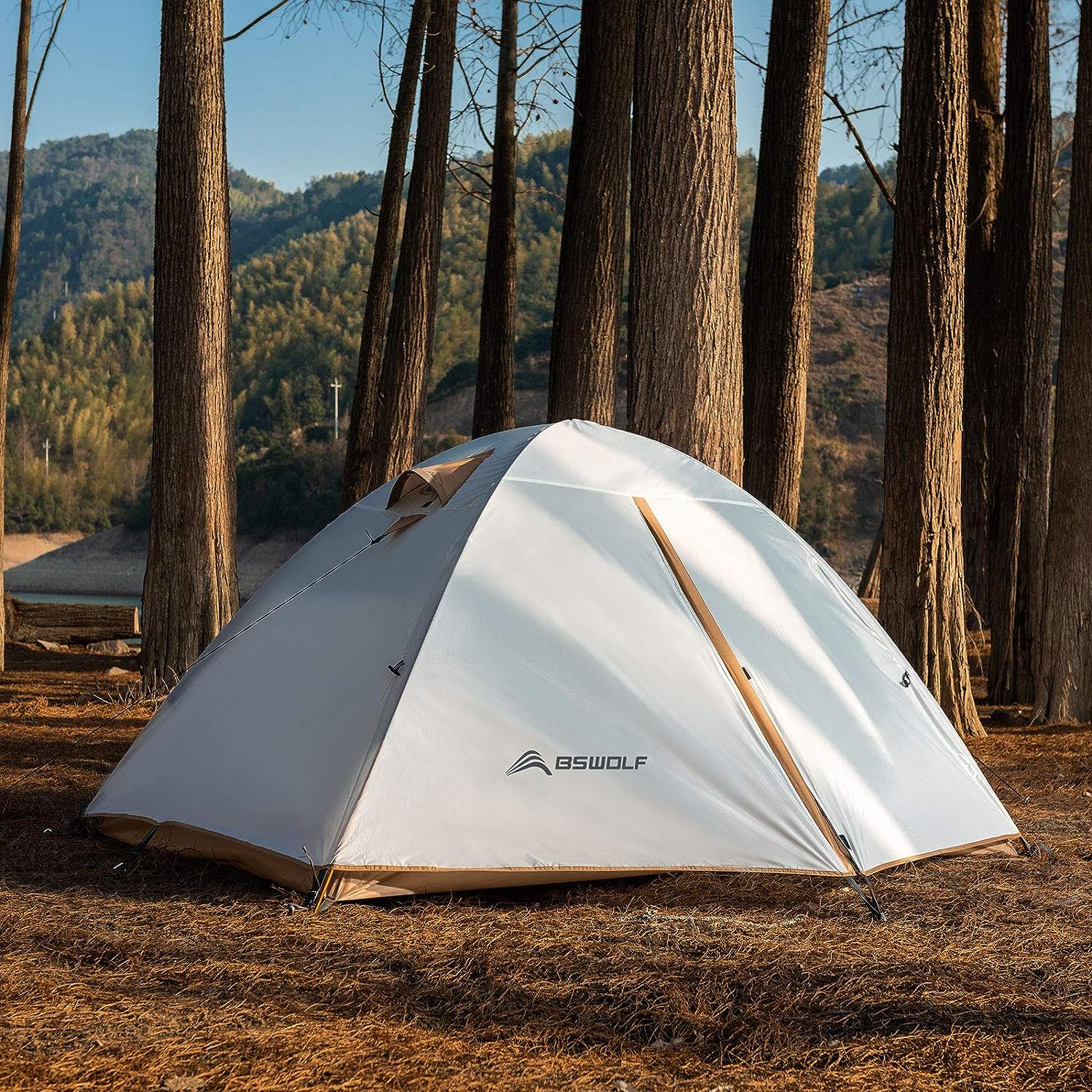 ISINNA 2 Person Camping Tent