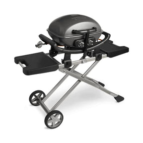 iBURNHARD Tragbarer 2-Brenner-Gasgrill WAYNE mit Trolley,