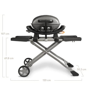 iBURNHARD Tragbarer 2-Brenner-Gasgrill WAYNE mit Trolley,