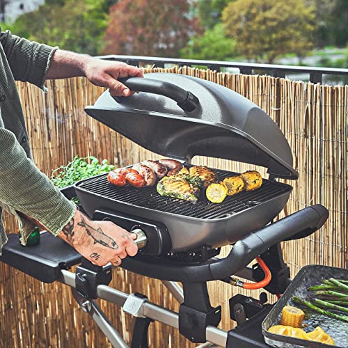 iBURNHARD Portable 2-Burner Gas Grill WAYNE with Trolley,